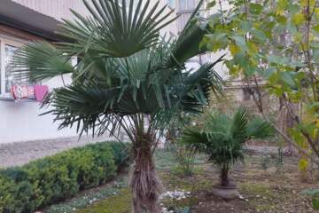 2-к квартира, 41,3 м², 4/5 эт.