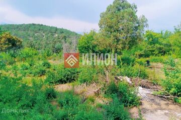 Ведение садоводства, 10 сот.